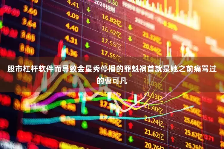 股市杠杆软件而导致金星秀停播的罪魁祸首就是她之前痛骂过的曹可凡