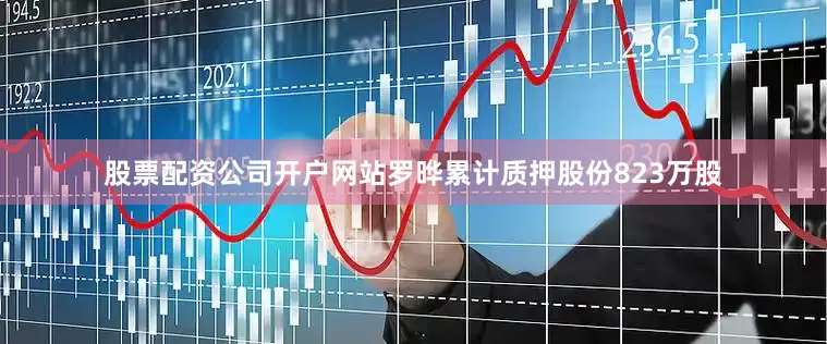 股票配资公司开户网站罗晔累计质押股份823万股